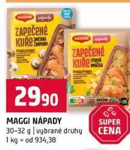 Terno MAGGI NÁPADY 30-32 g vybrané druhy nabídka