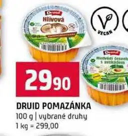 Terno DRUID POMAZÁNKA 100 g vybrané druhy nabídka