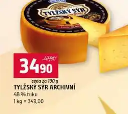 Terno TYLŽSKÝ SÝR ARCHIVNÍ 48% tuku nabídka