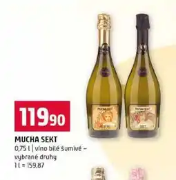 Terno MUCHA SEKT 0,75l vino bilé šumivé vybrané druhy nabídka