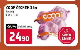 Terno COOP ČESNEK 3 ks balený nabídka