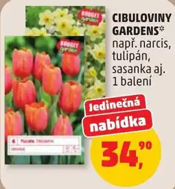 Penny Market Cibuloviny Gardens např. narcis, tulipán, sasanka aj. nabídka