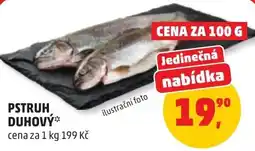 Penny Market Pstruh duhový nabídka