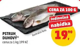 Penny Market Pstruh duhový nabídka