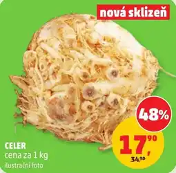 Penny Market Celer nabídka