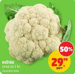 Penny Market květák nabídka