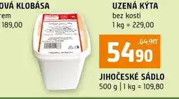 Terno JIHOČESKÉ SÁDLO nabídka
