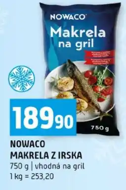 Terno Nowaco Makrela z Irska nabídka