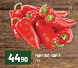 Terno Paprika kapie nabídka