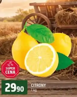 Terno Citrony nabídka