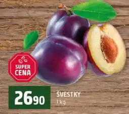 Terno Švestky nabídka