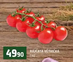 Terno RAJČATA VĚTVIČKA nabídka