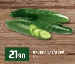 Terno OKURKA SALÁTOVÁ nabídka
