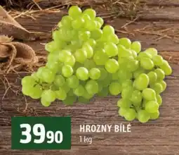Terno Hrozny bílé nabídka