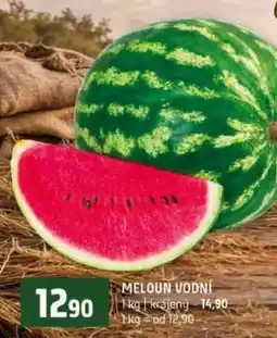 Terno MELOUN VODNÍ nabídka