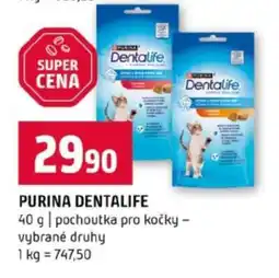 Terno Purina Dentalife nabídka