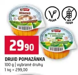 Terno DRUID POMAZÁNKA nabídka