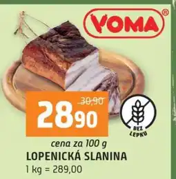Terno LOPENICKÁ SLANINA nabídka