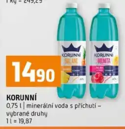 Terno Korunní nabídka