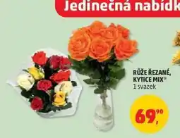 Penny Market Růže řezané, kytice mix nabídka