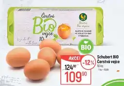 Globus Schubert BIO Čerstvá vejce nabídka