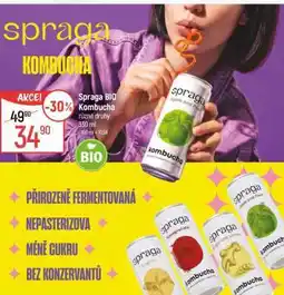 Globus Spraga BIO Kombucha nabídka