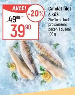 Globus Candát filet s kůží nabídka