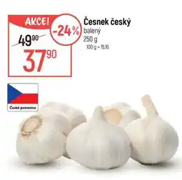 Globus ČESNEK ČESKÝ nabídka