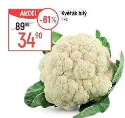 Globus Květák bílý nabídka