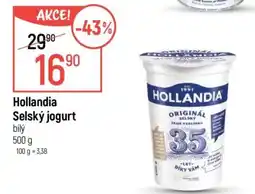Globus Hollandia Selský jogurt bílý nabídka