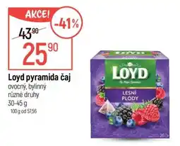 Globus Loyd pyramida čaj nabídka
