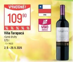 Globus Viña Tarapacá nabídka