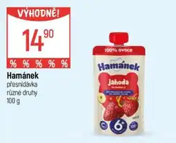 Globus Hamánek přesnídávka nabídka