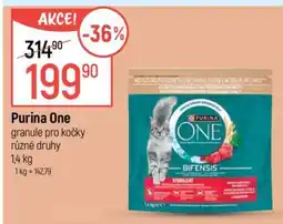 Globus Purina One nabídka