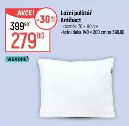Globus Ložní polštář Antibact nabídka