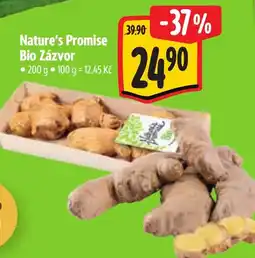 Albert Nature's Promise Bio Zázvor nabídka