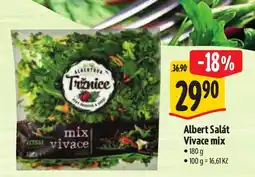 Albert Albert Salát Vivace mix nabídka
