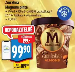 Albert Magnum zmrzlina pinta nabídka
