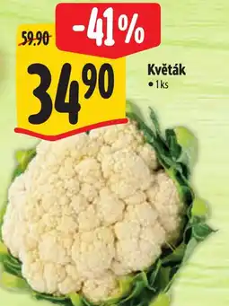 Albert Květák nabídka