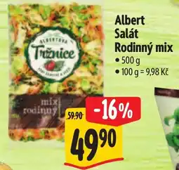 Albert Albert Salát Rodinný mix nabídka