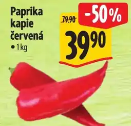 Albert Paprika kapie červená nabídka