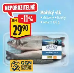 Albert Mořský vlk nabídka