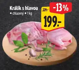 Albert Králík s hlavou nabídka