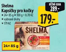 Albert Shelma kapsičky pro kočky nabídka