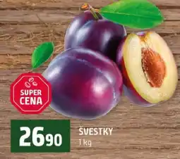 Terno Švestky nabídka