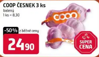 Coop česnek