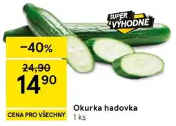 Tesco Okurka hadovka nabídka