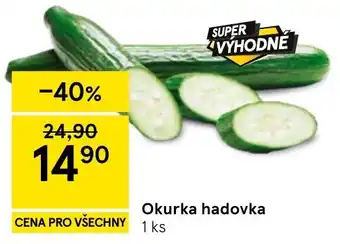 Okurka hadovka