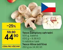 Tesco Tesco Žampiony zahradní nabídka