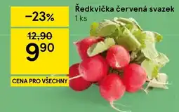 Tesco Ředkvíčka červená svazek nabídka
